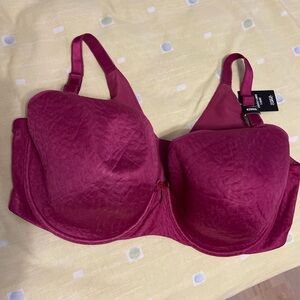 Torrid Women's Bra Size
42DDD Magenta